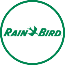 Rainbird
