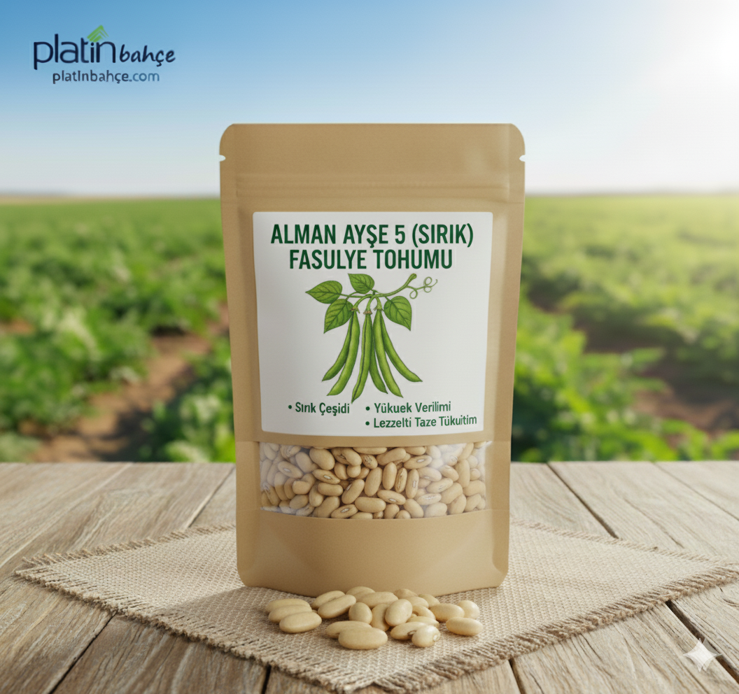Alman Ayşe 5 (sırık) Fasulye Tohumu / 100 Gram