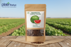 Washington Karpuz Tohumu 10 gram