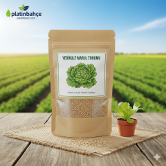 Yedikule Marul Tohumu 10 gram