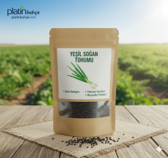 Yeşil Soğan Tohumu Arda 10 Gr