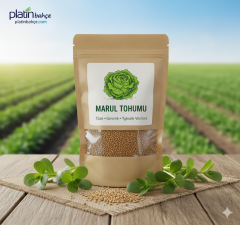 Marul Tohumu 10 gram