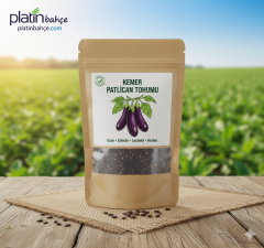 Kemer Patlıcan Tohumu 10 gram