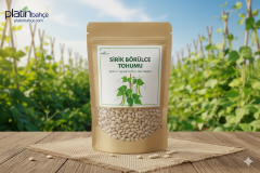 Doğal Sırık Börülce Tohumu 100 gram