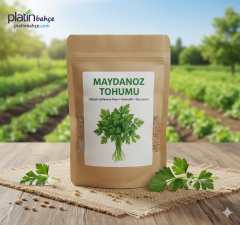 Maydanoz Tohumu 100gr