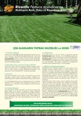 Rizomlu Susuzluğa Dayanıklı Çim Tohumu Tıtan Rx 1 Kg