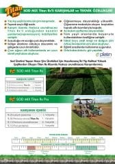 Rizomlu Susuzluğa Dayanıklı Çim Tohumu Titan Rx