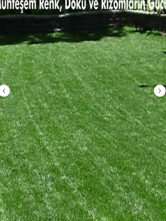 7 Günde Çimlenen 7 Mix Çim Tohumu 3 Kg Grass Çayır Çimen Tohumu