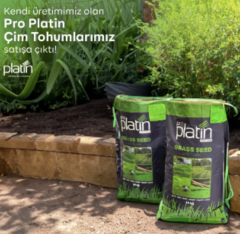 Çim Tohumu 6 Karışım Class - Sağlam Ve Yeşil Çim Alanları Için Ideal Seçim