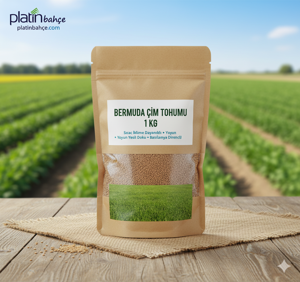 Bermuda Çimi Tohumu (KURAK VE SUSUZ ALANLARA ÖZEL) 1 Kg