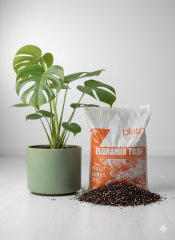 Proplatin Torf 80 Litre